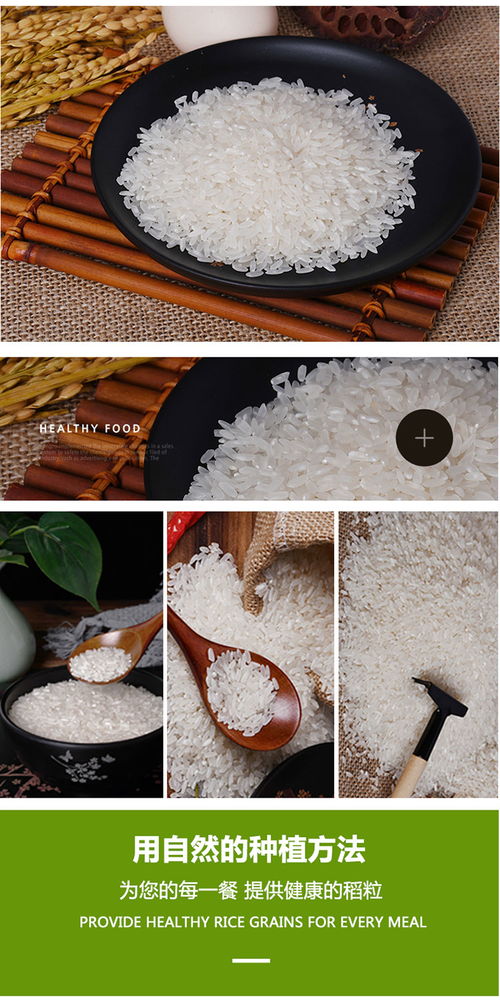 中汇 米稻香 5kg