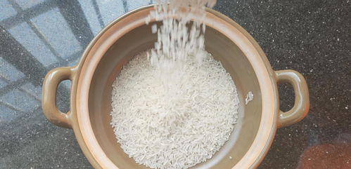 食欲不佳 米饭可以这样做,1个砂锅1杯米,饭香营养好吃到不想停